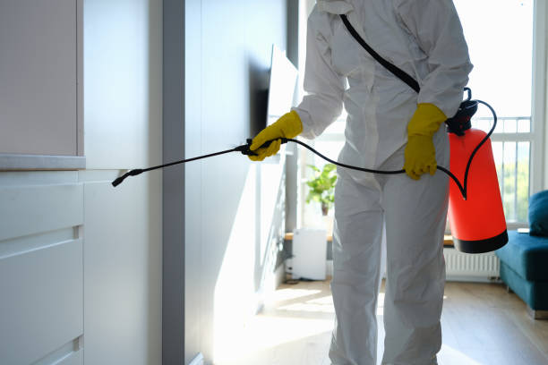 Best Toxic Mold Removal  in Highlands, TX