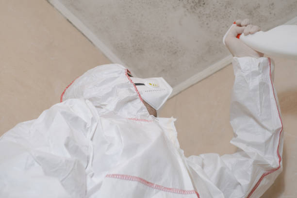 Best Black Mold Removal  in Highlands, TX